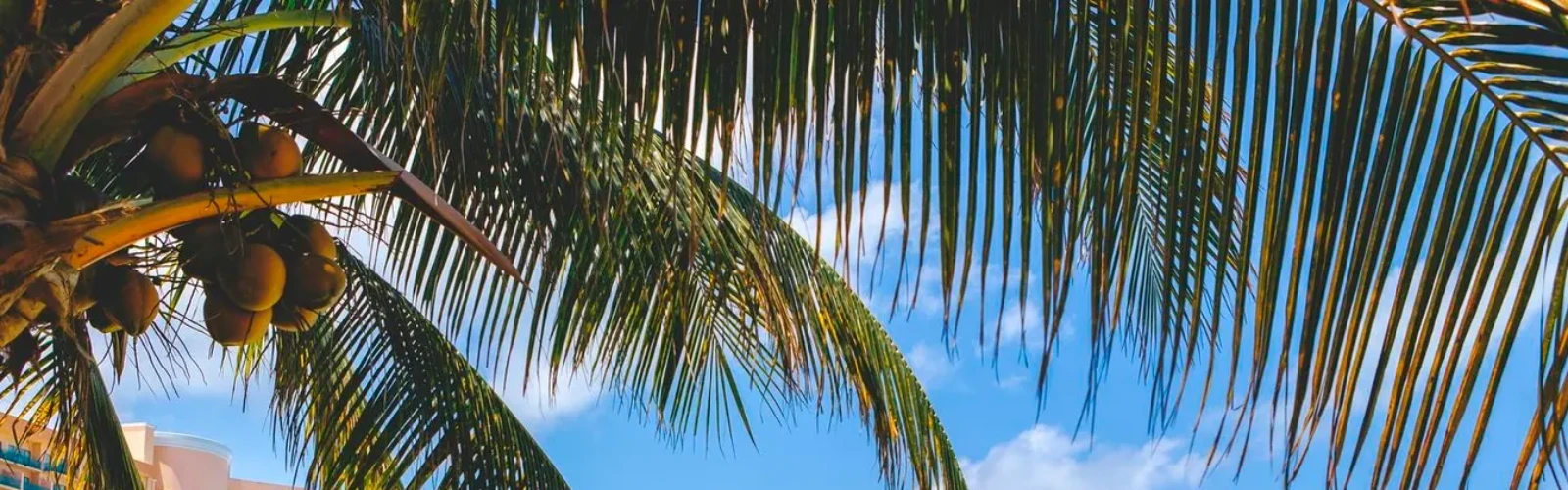 10 Free Things to Do in Cancun