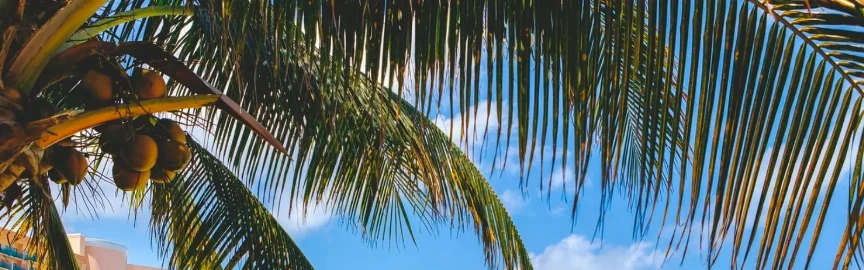 10 Free Things to Do in Cancun