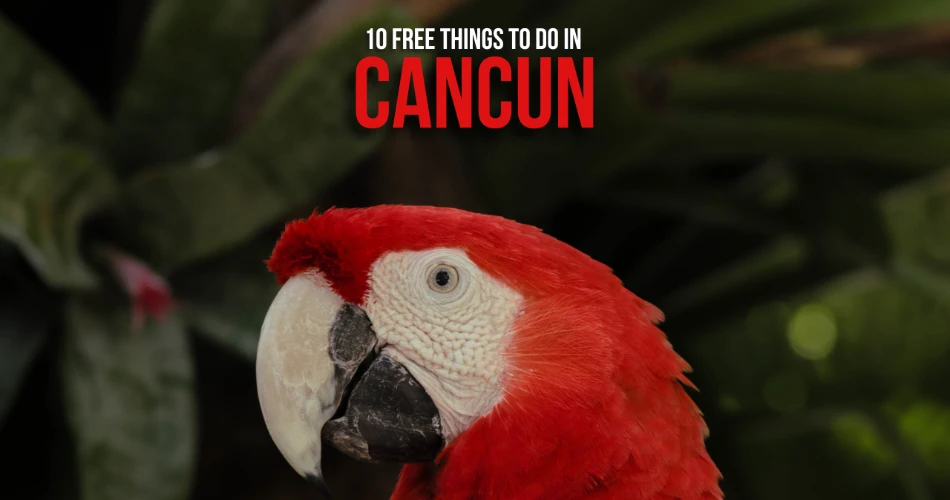 10 Free Things to Do in Cancun