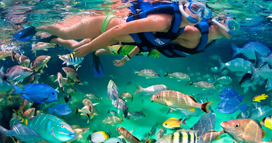 Xcaret vs. Xel-Há: Which Cultural and Eco Park is Best for You
