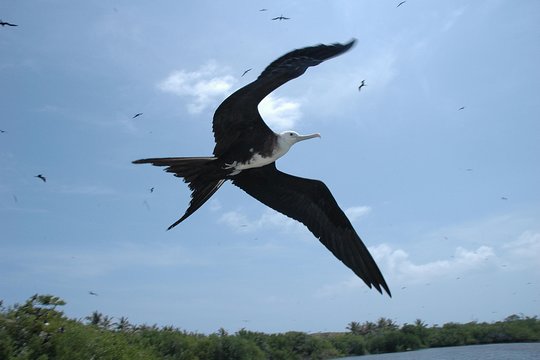 Tour image 7
