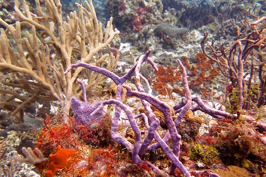 Tour image 7