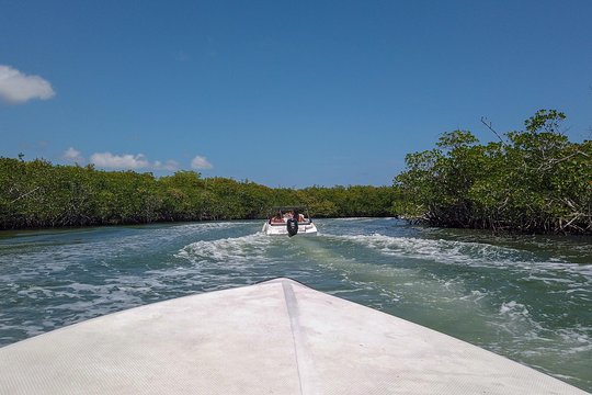 Tour image 4