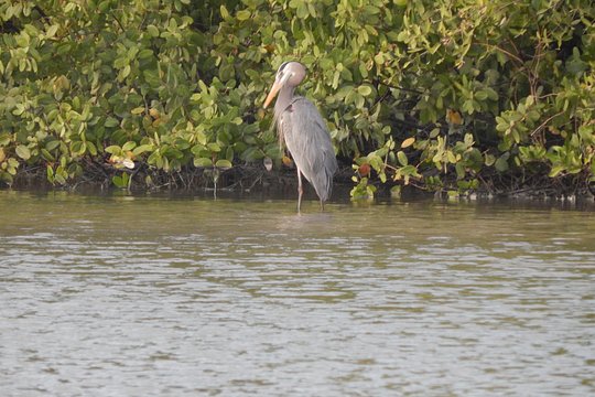 Tour image 6