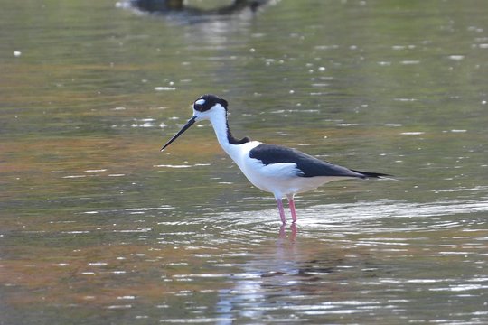 Tour image 12