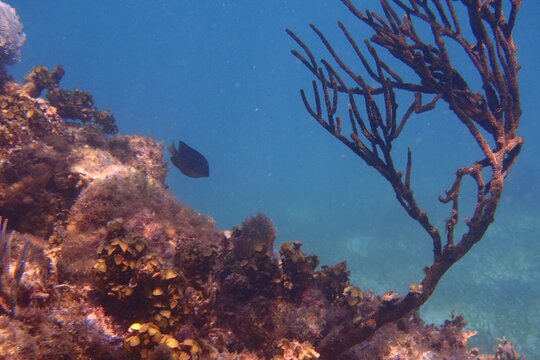 Tour image 10