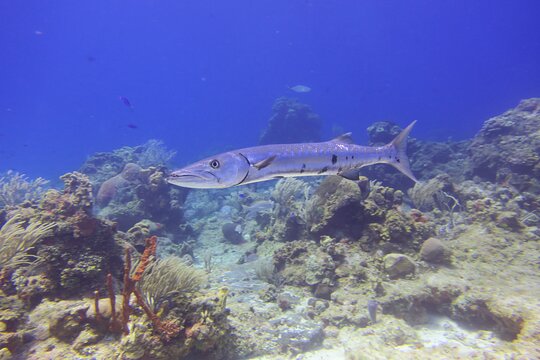 Tour image 7