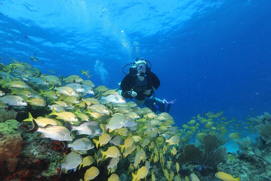 Tour image 5