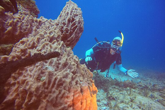 Tour image 6