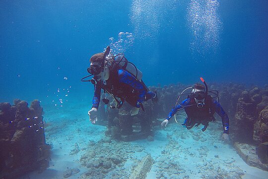 Tour image 2