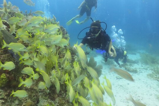 Tour image 9