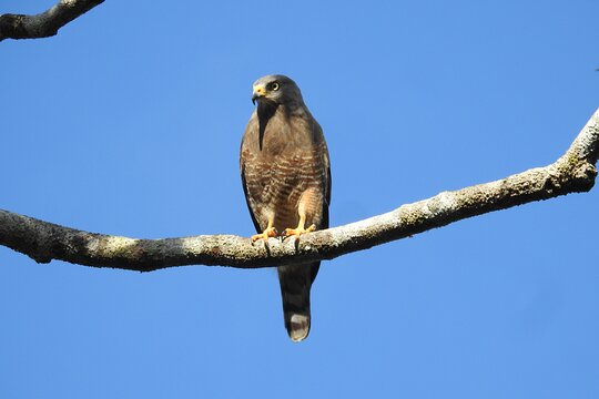 Tour image 13