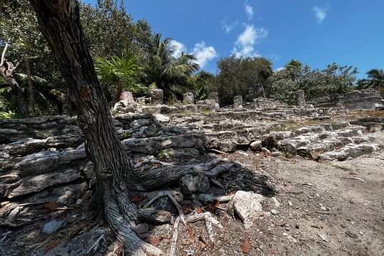 Tour image 11